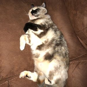 Meet your Posher, Kris